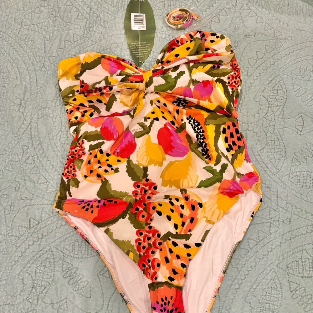 Farm Rio Fruits Paradise One Piece Swimsuit NWT Size XL